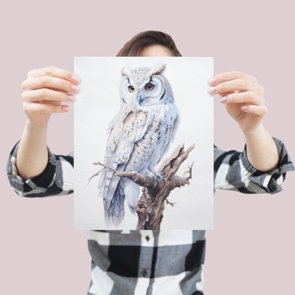 Watercolor White Owl Portrait Wall Art Illustration Print Poster Unframed - Picture 4 of 6